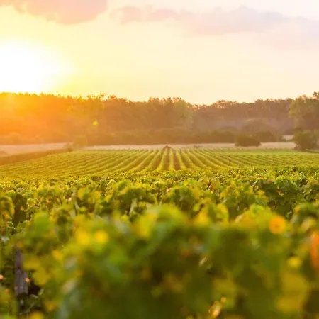 Semesterbostad Le Caudalie Au Coeur Des Vignobles Pessac