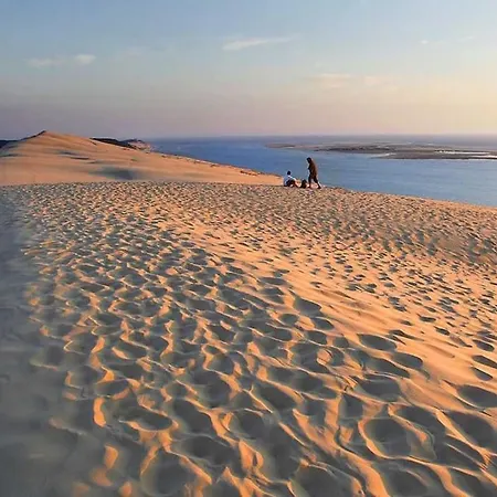 Le Caudalie Au Coeur Des Vignobles Pessac Léognan